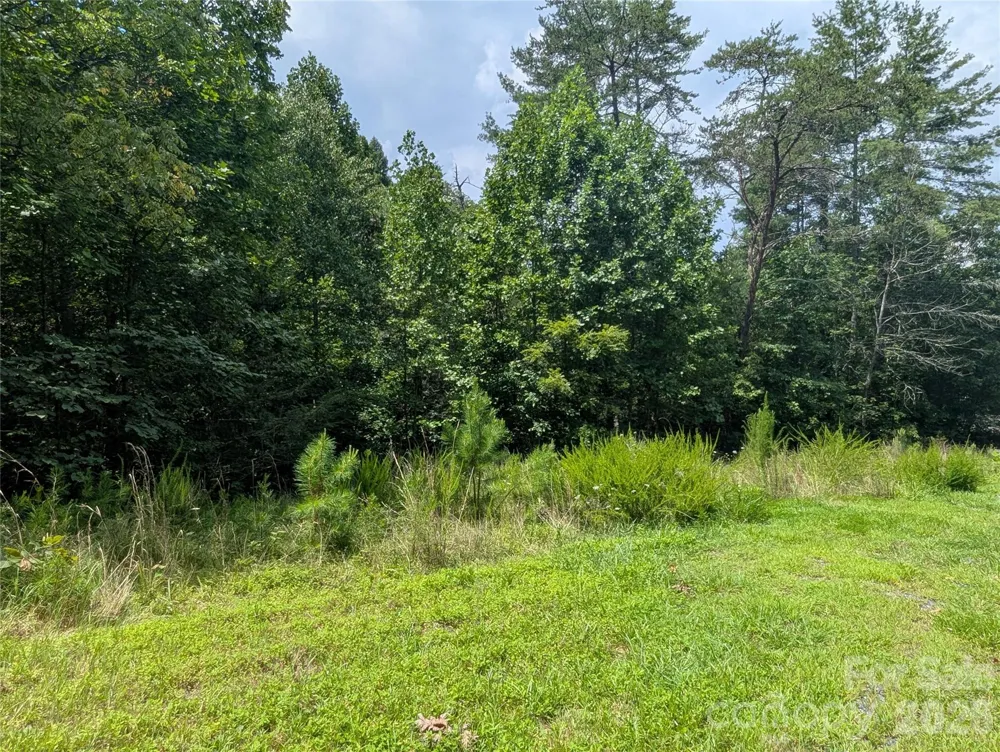 0 Austin Drive #13 Marshall, NC 28753