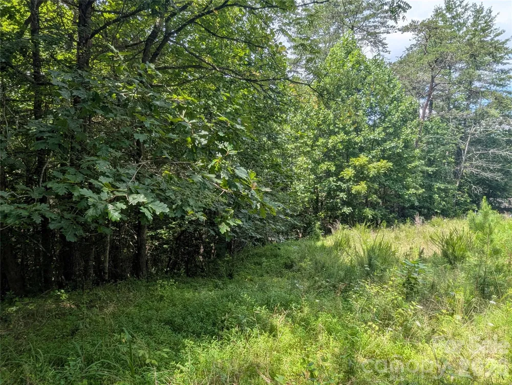 0 Austin Drive #13 Marshall, NC 28753