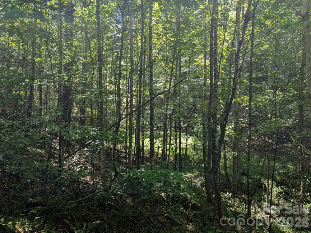 0 Austin Drive #13 Marshall, NC 28753