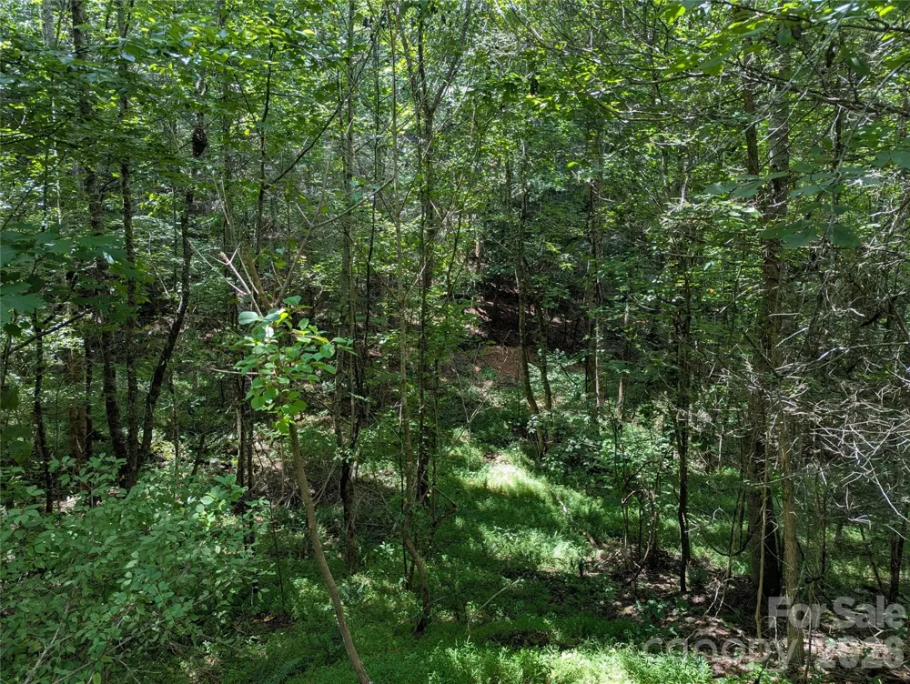0 Austin Drive #13 Marshall, NC 28753