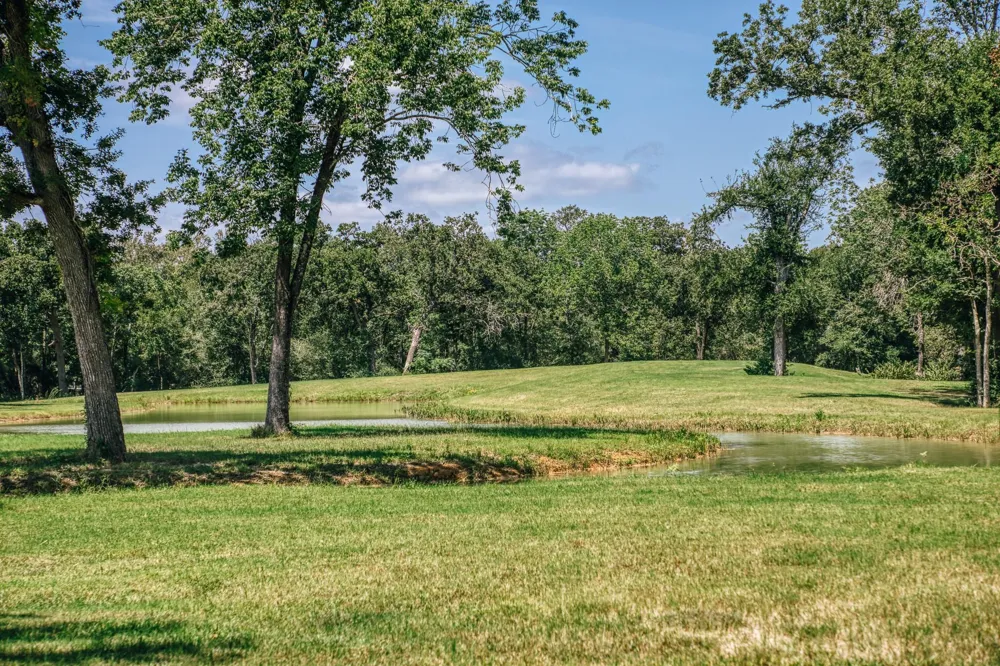 40051 Mesquite Hempstead, TX 77445