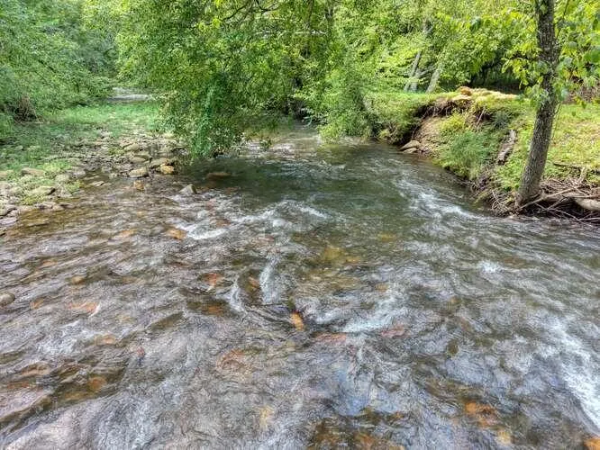 201 Ama Lane Hayesville, NC 28904