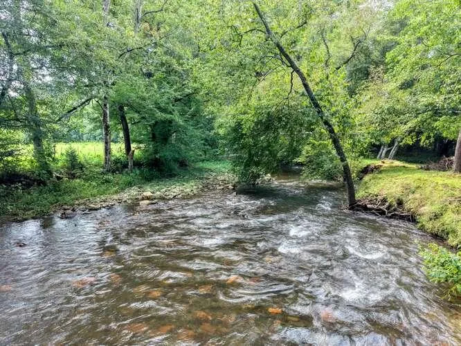 201 Ama Lane Hayesville, NC 28904