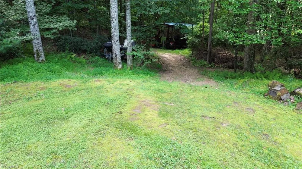1647 Staghorn Road Purlear, NC 28665