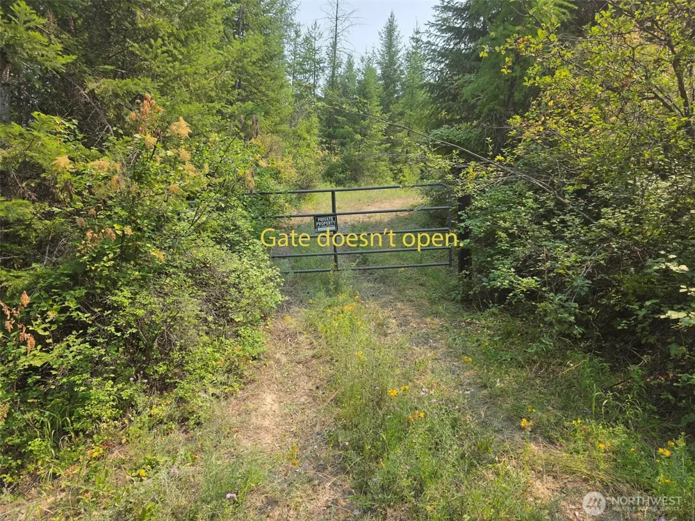 2599 zz Scott Road Rice, WA 99167