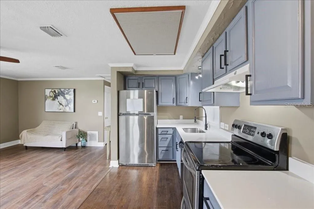 171 STANLEY BELL DRIVE Mount Dora, FL 32757