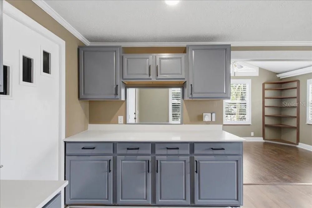 171 STANLEY BELL DRIVE Mount Dora, FL 32757