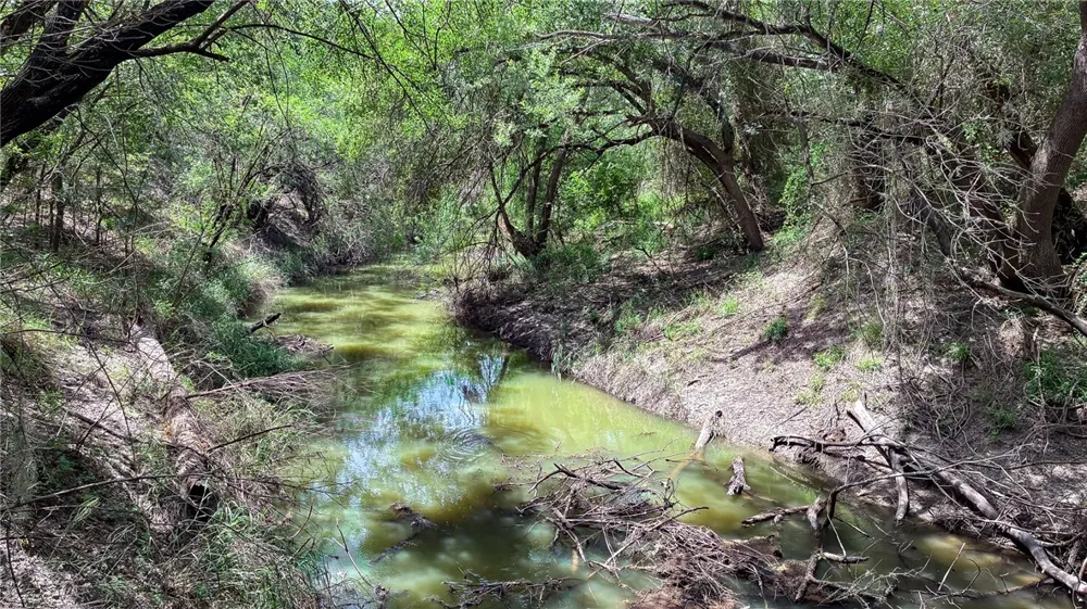 109 Choke Canyon Estates Three Rivers, TX 78071