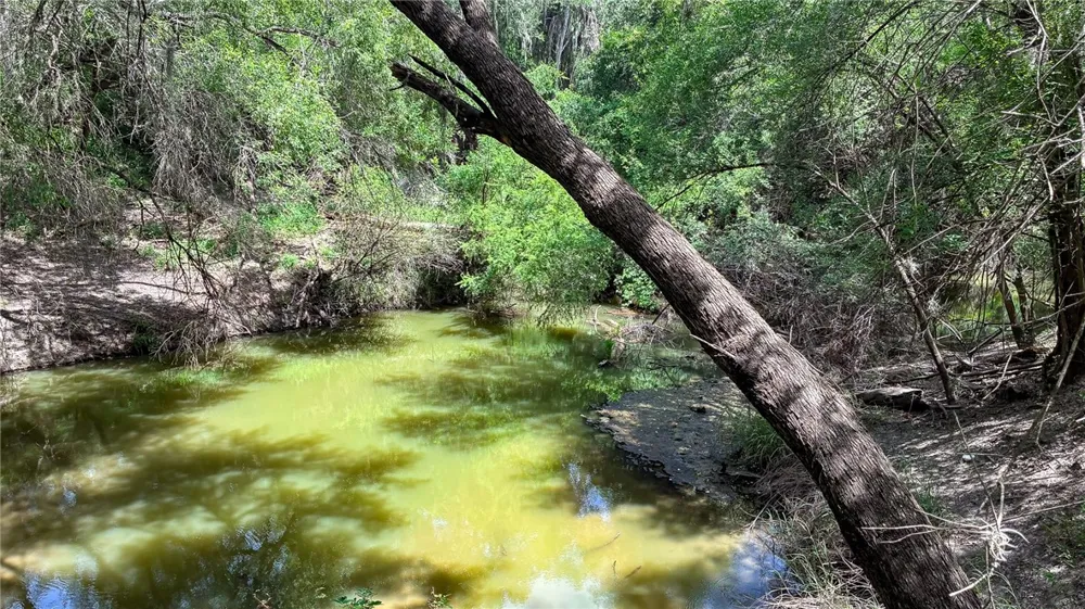 109 Choke Canyon Estates Three Rivers, TX 78071
