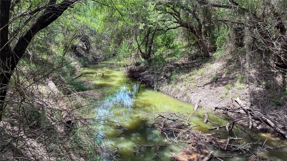 109 Choke Canyon Estates Three Rivers, TX 78071