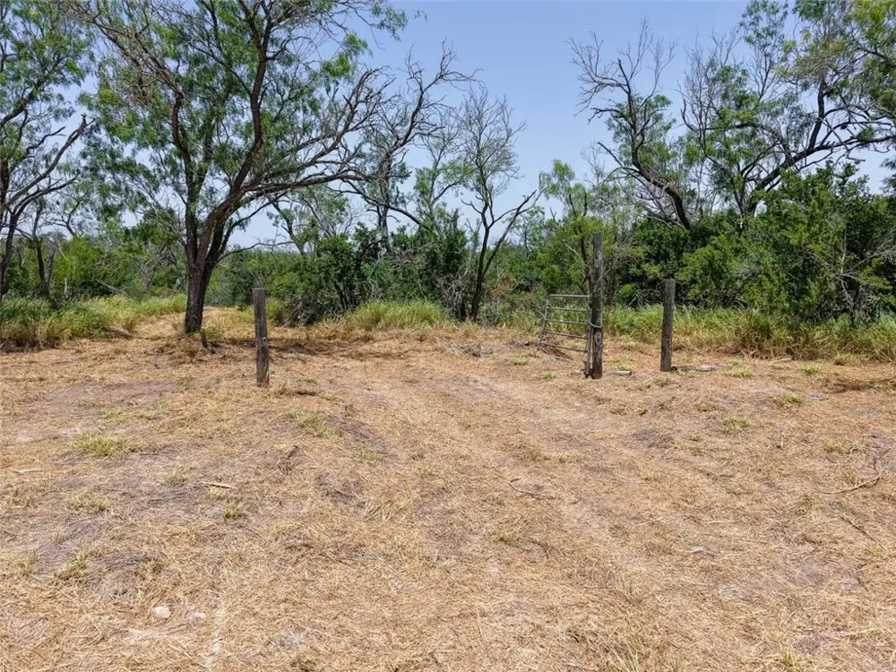 109 Choke Canyon Estates Three Rivers, TX 78071