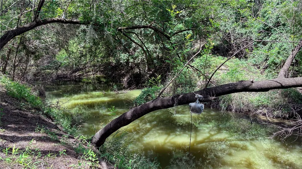 111 Choke Canyon Estates Three Rivers, TX 78071