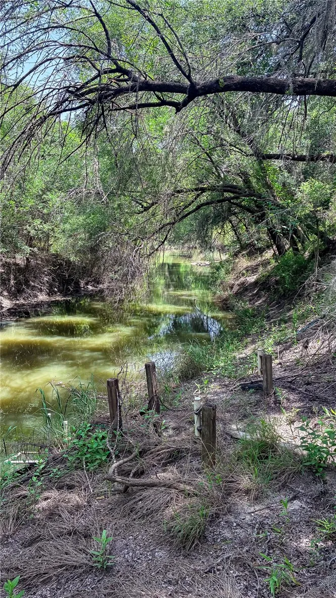 111 Choke Canyon Estates Three Rivers, TX 78071