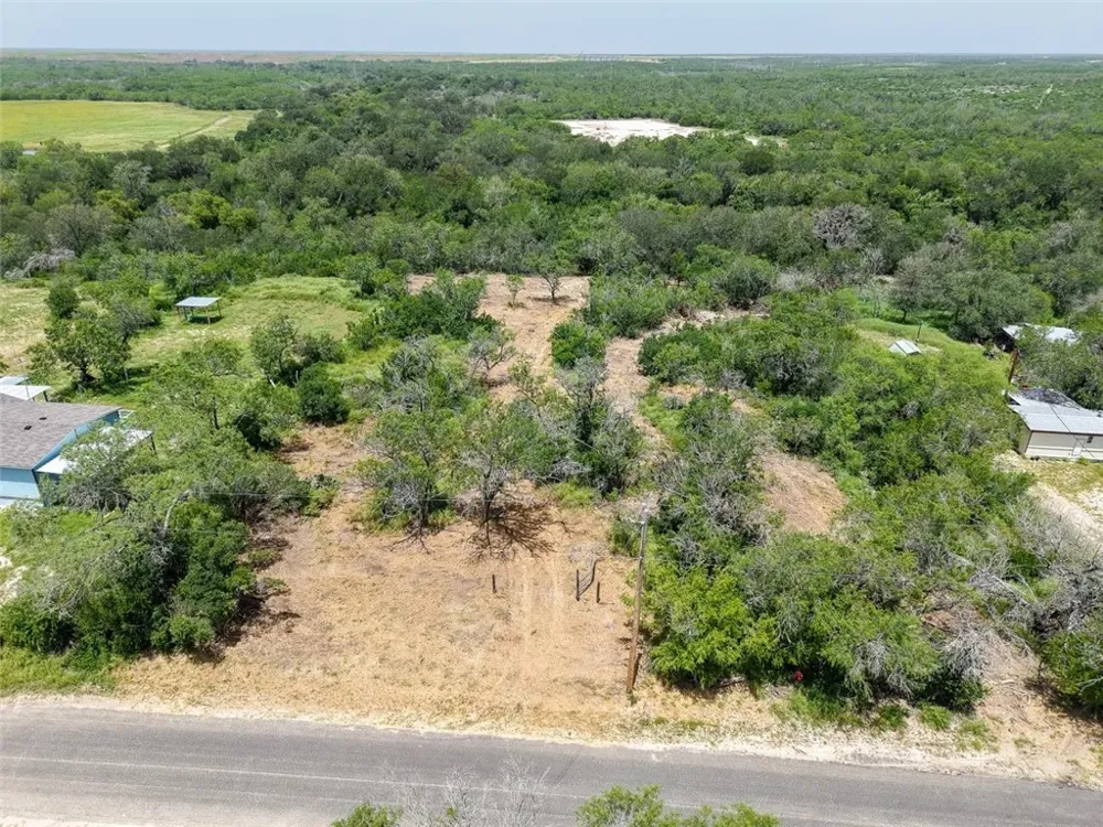 111 Choke Canyon Estates Three Rivers, TX 78071