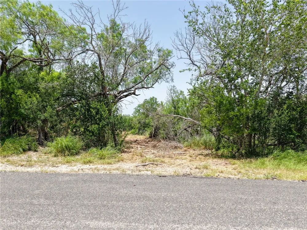 111 Choke Canyon Estates Three Rivers, TX 78071