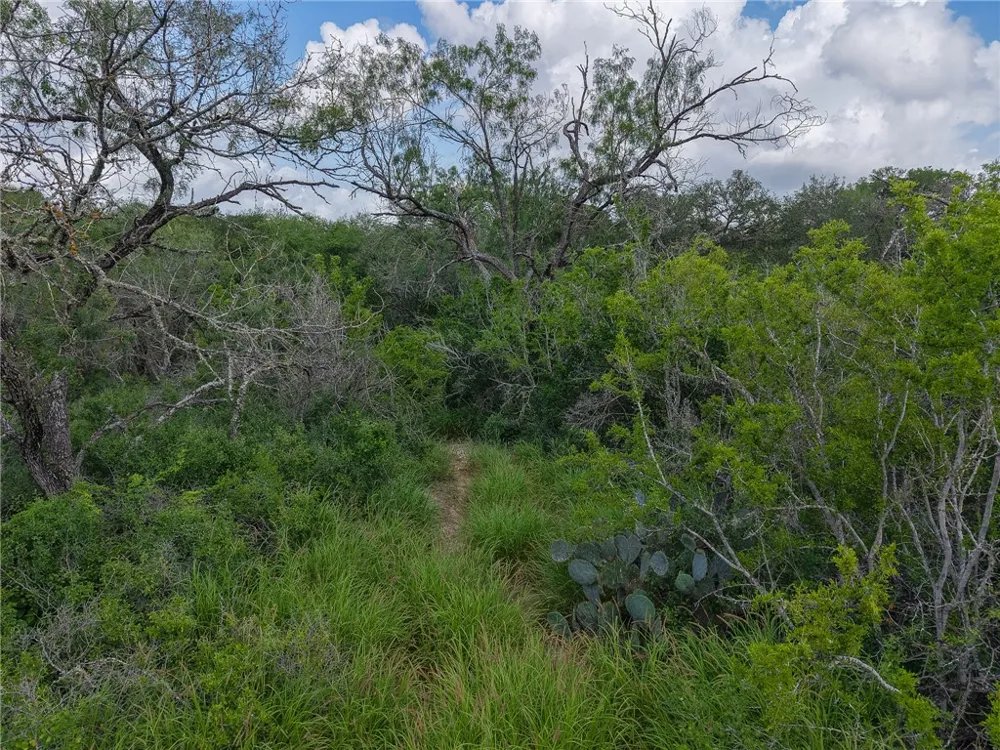 111 Choke Canyon Estates Three Rivers, TX 78071