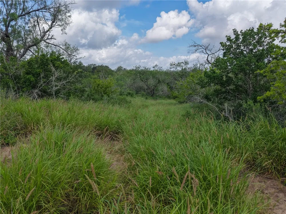 111 Choke Canyon Estates Three Rivers, TX 78071