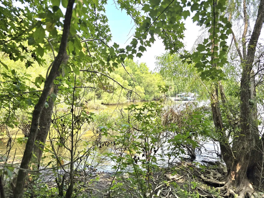 39 Bayshore Dr Cadiz, KY 42211