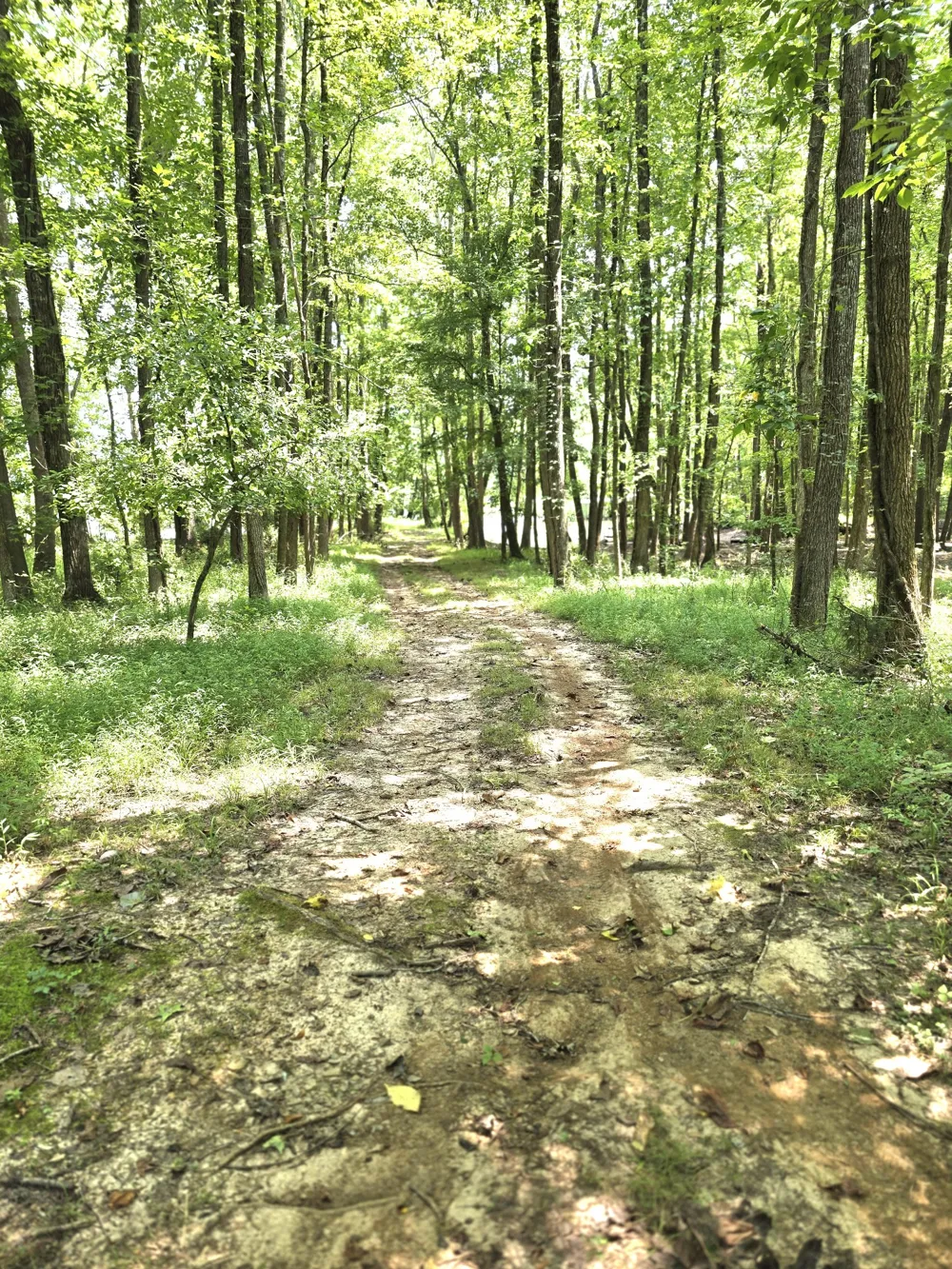 39 Bayshore Dr Cadiz, KY 42211