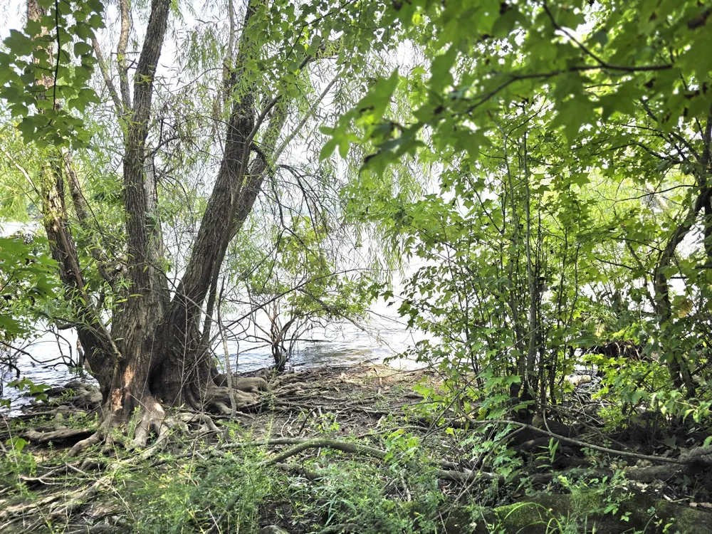 39 Bayshore Dr Cadiz, KY 42211