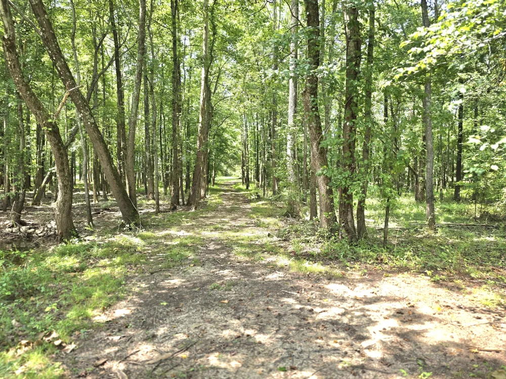 39 Bayshore Dr Cadiz, KY 42211