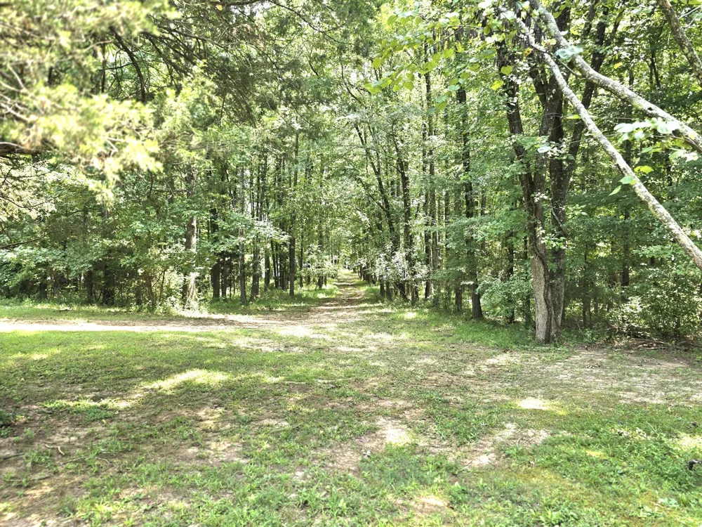 39 Bayshore Dr Cadiz, KY 42211