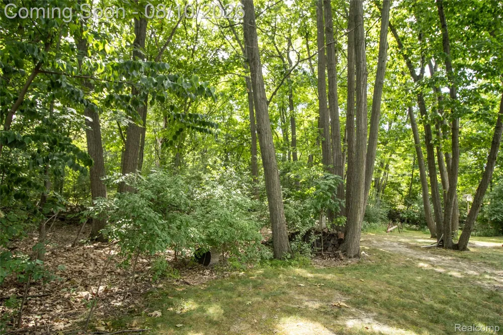 9302 Green Tree Drive Grand Blanc Charter Township, MI 48439