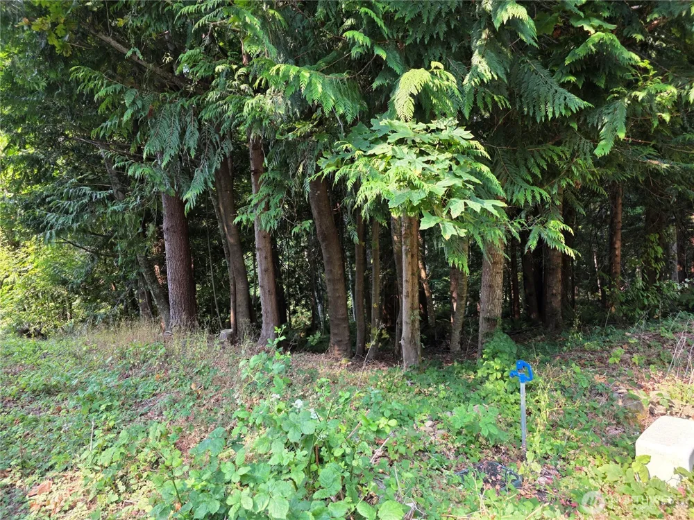 0 Cirque Drive Brinnon, WA 98320