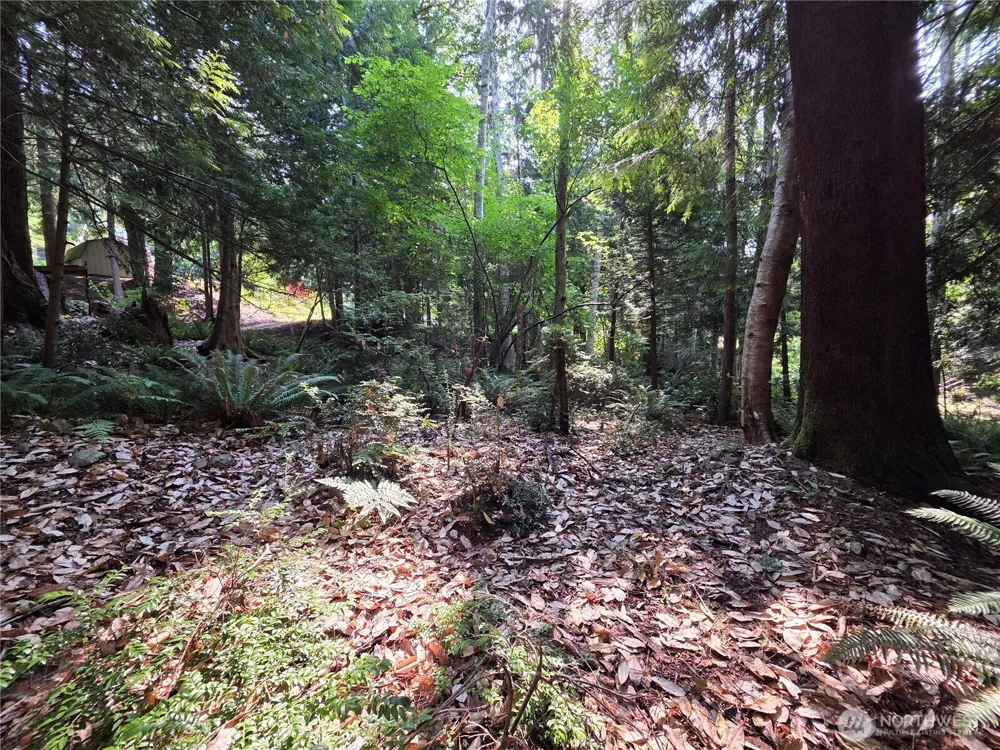 0 Cirque Drive Brinnon, WA 98320