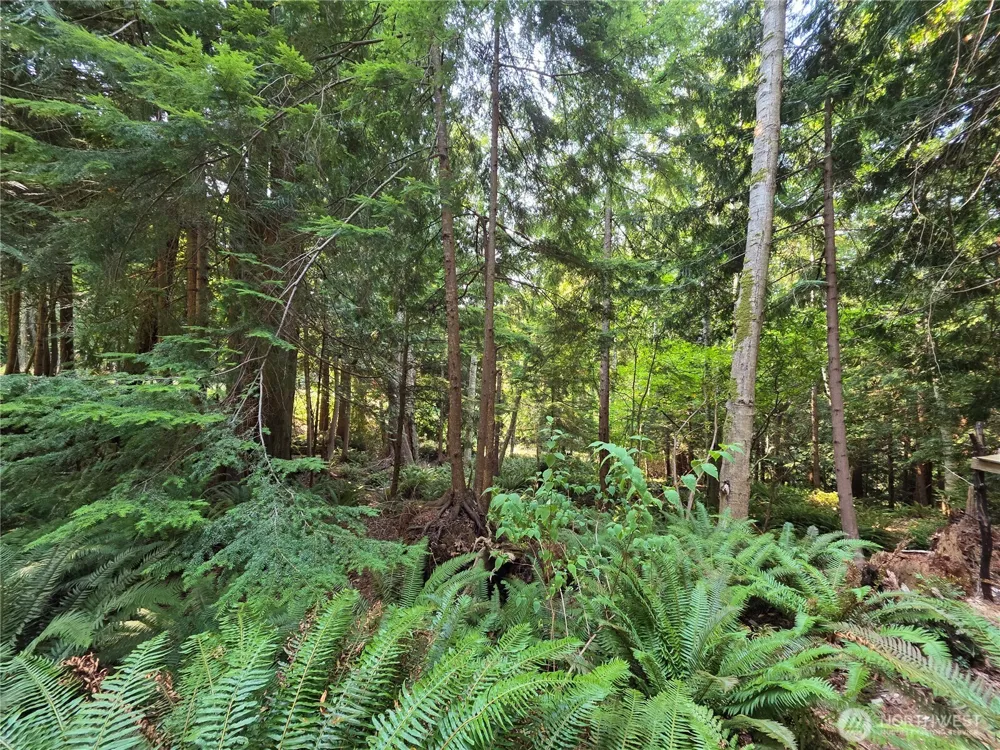 0 Cirque Drive Brinnon, WA 98320
