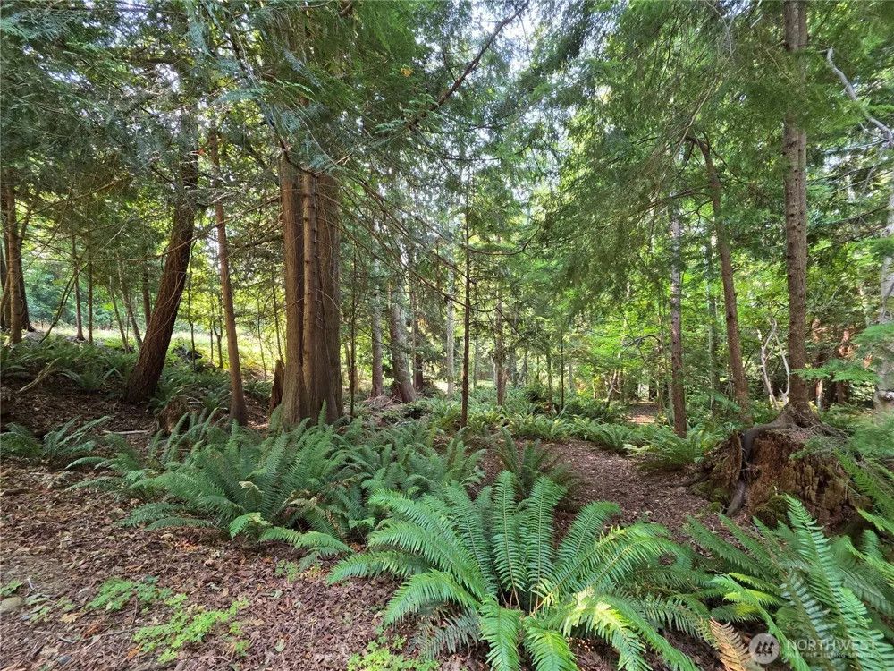 0 Cirque Drive Brinnon, WA 98320