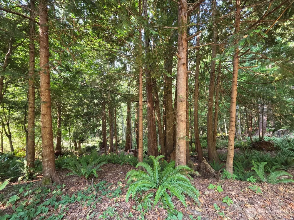 0 Cirque Drive Brinnon, WA 98320