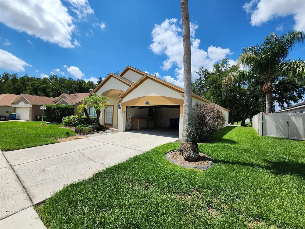 30702 IVERSON DRIVE Wesley Chapel, FL 33543