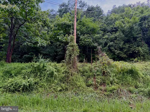 LUCAS HOLLOW ROAD