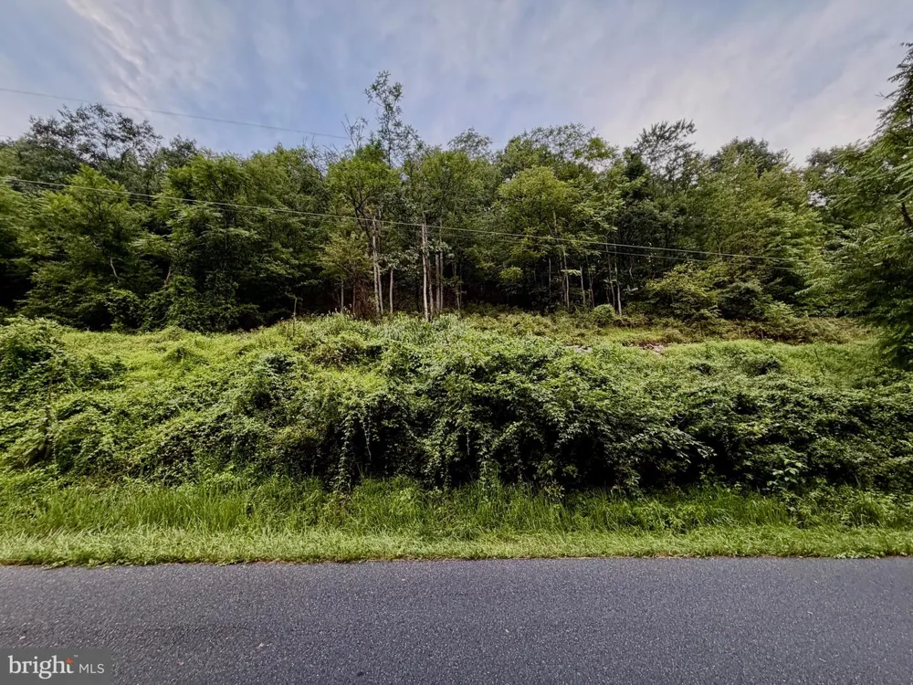 LUCAS HOLLOW ROAD Stanley, VA 22851