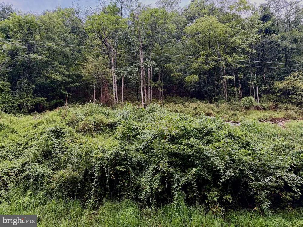 LUCAS HOLLOW ROAD Stanley, VA 22851