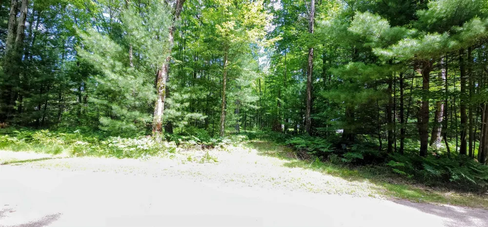 Red Oak Drive Mills Township, MI 48756