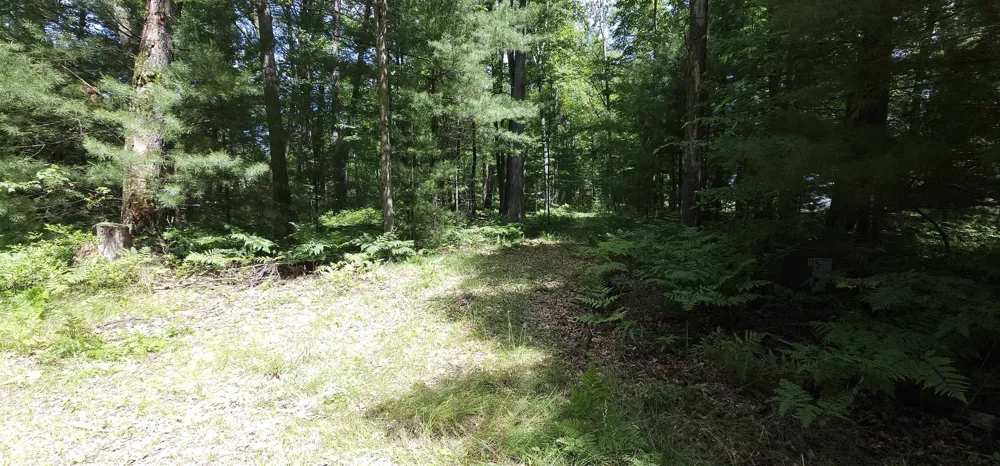 Red Oak Drive Mills Township, MI 48756