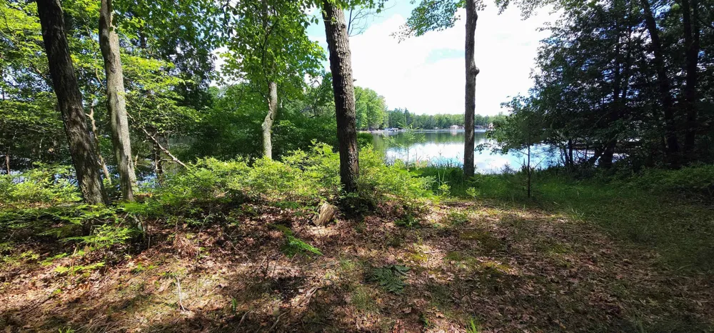 Red Oak Drive Mills Township, MI 48756
