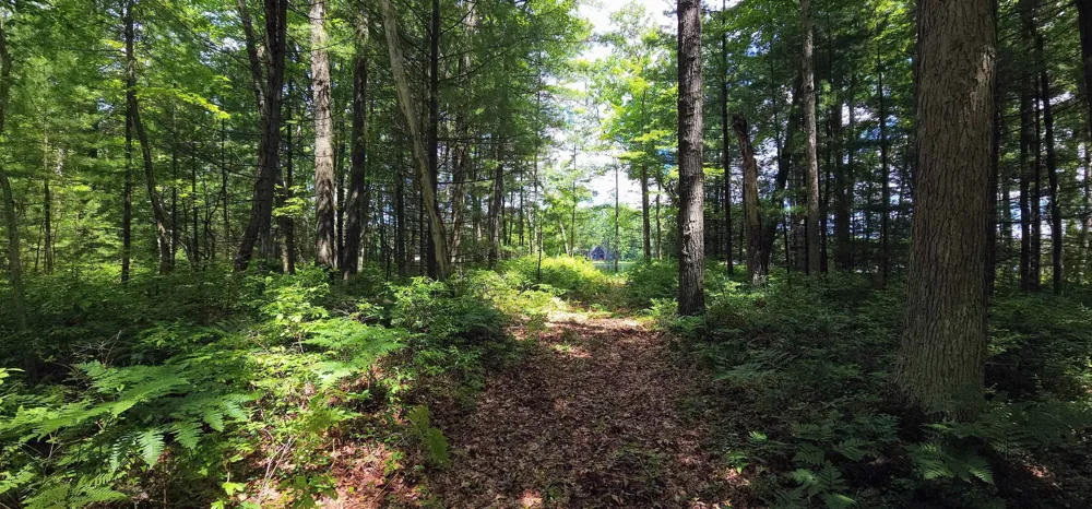 Red Oak Drive Mills Township, MI 48756
