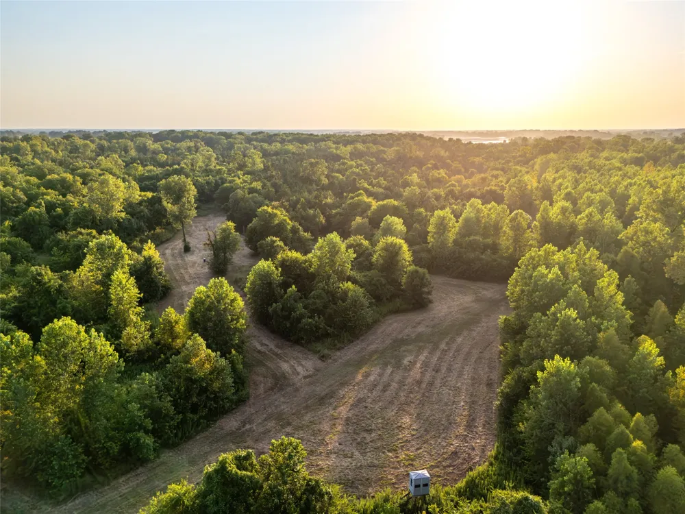 Farm Road 906 Powderly, TX 75473