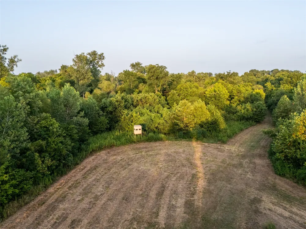 Farm Road 906 Powderly, TX 75473