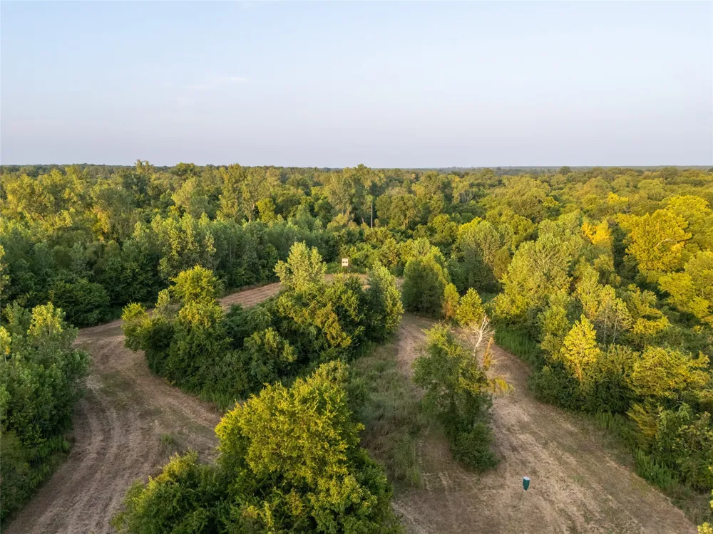 Farm Road 906 Powderly, TX 75473