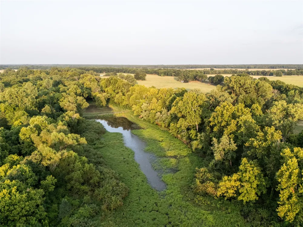 Farm Road 906 Powderly, TX 75473