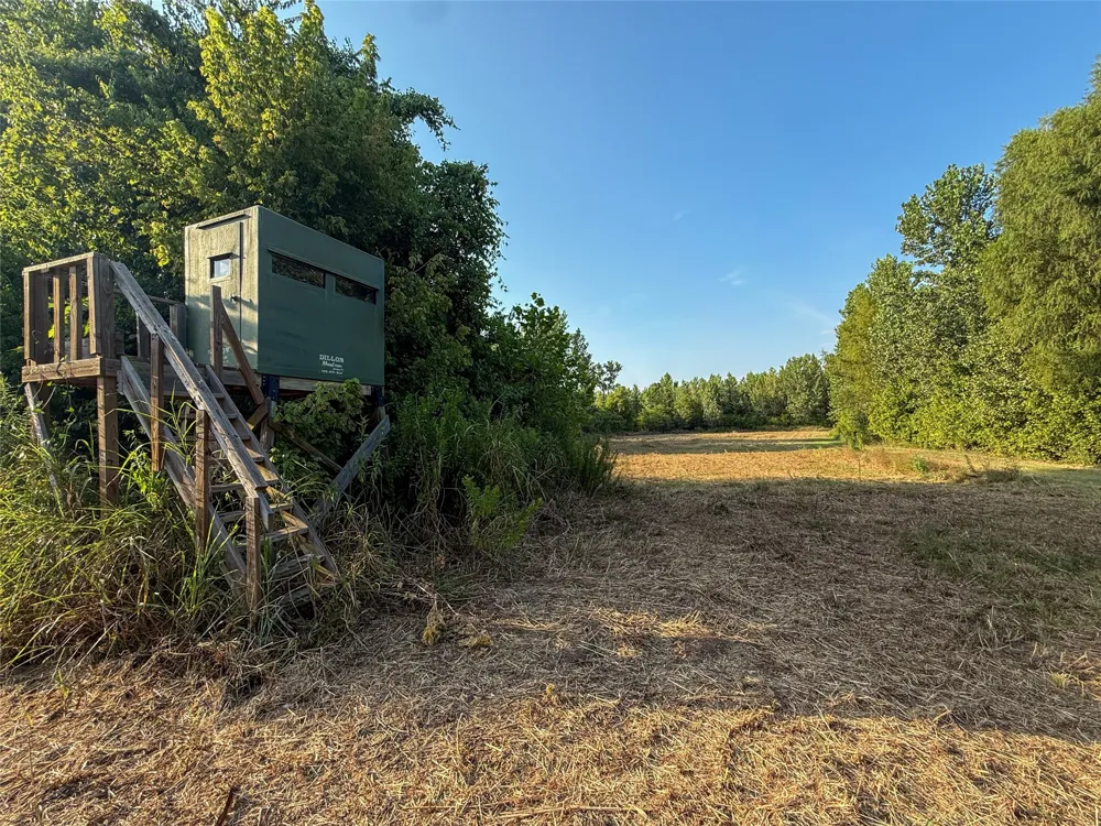 Farm Road 906 Powderly, TX 75473