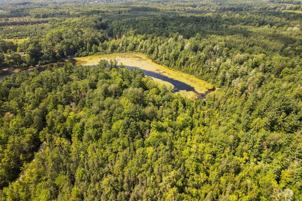 9556 SW Long Lake Drive Springfield Township, MI 49633