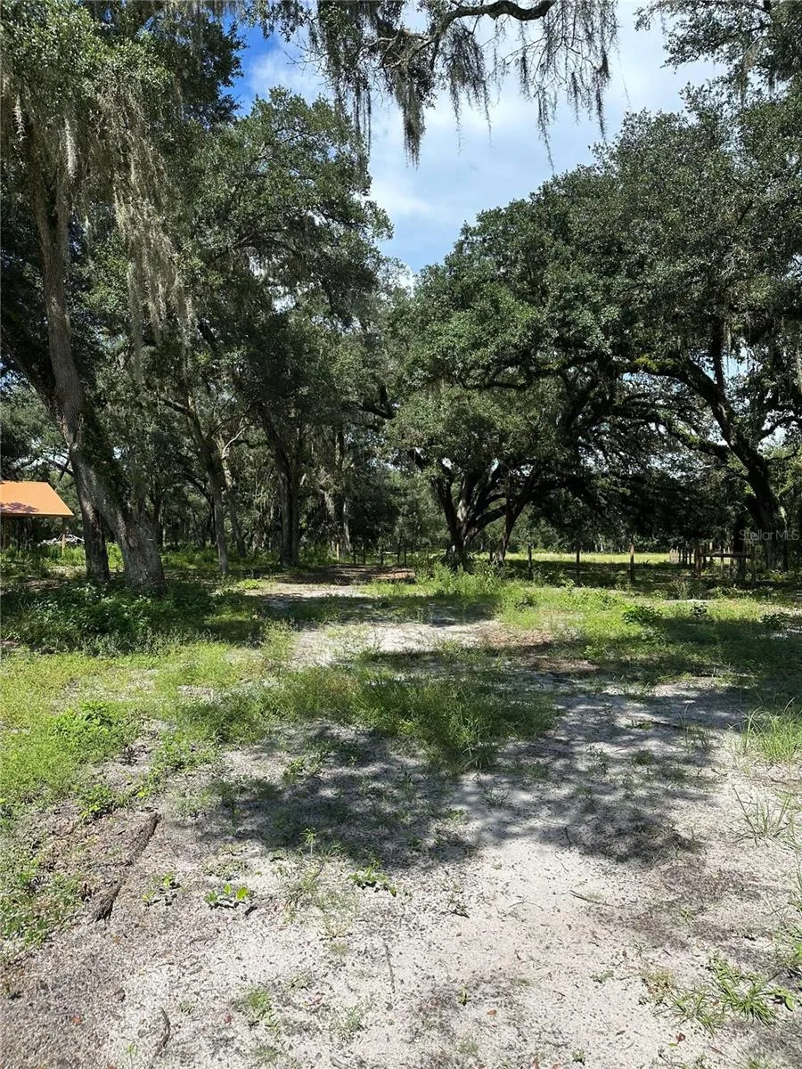 SE 14TH TERRACE Bushnell, FL 33513