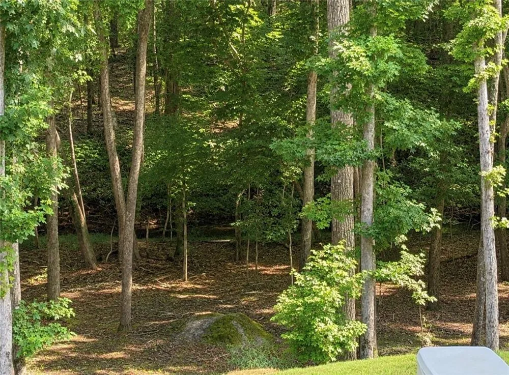 133 Fort Gibson Court Waleska, GA 30183