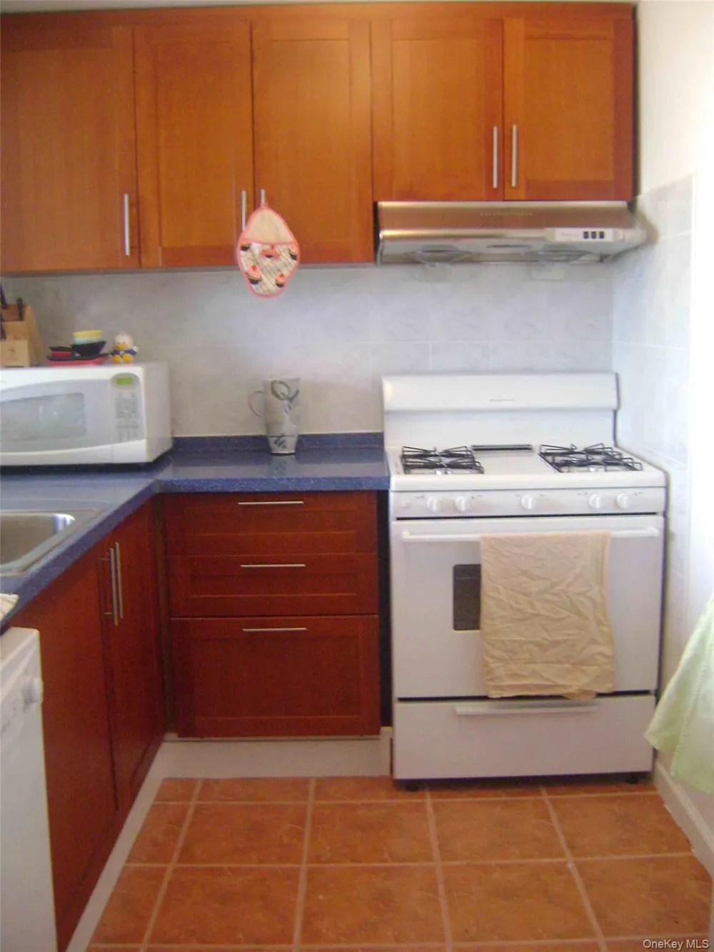 81-15 Queens #6L Elmhurst, NY 11373
