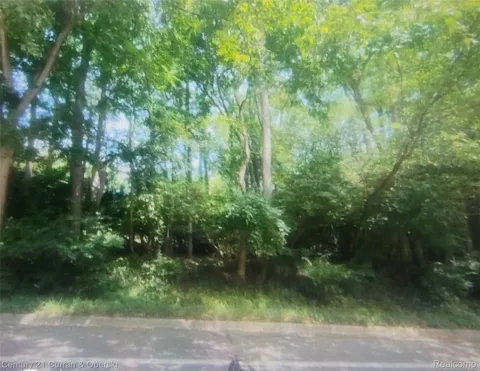 1948 Huron River Drive Drive